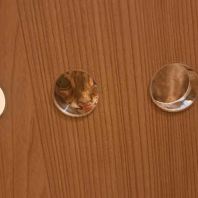 lucianoさんの部屋