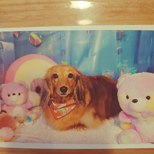 rikachakoさんの実例写真