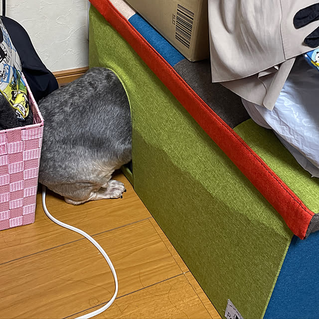 Annieさんの実例写真