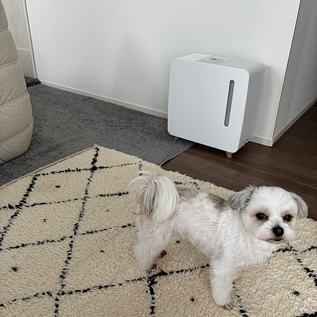 aaakkkさんの実例写真