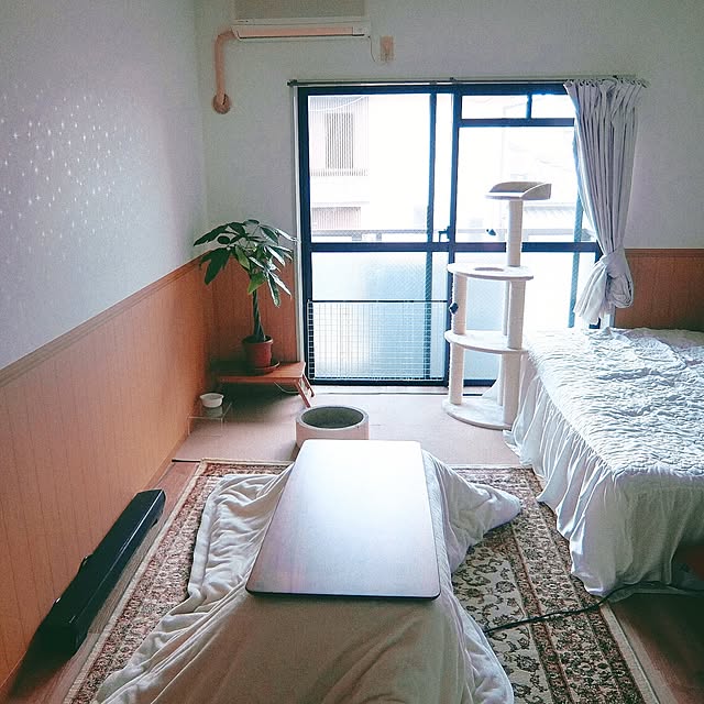 部屋全体/植物のある部屋/植物/パキラ/一人暮らし...などのインテリア実例 - 2016-02-24 15:20:20