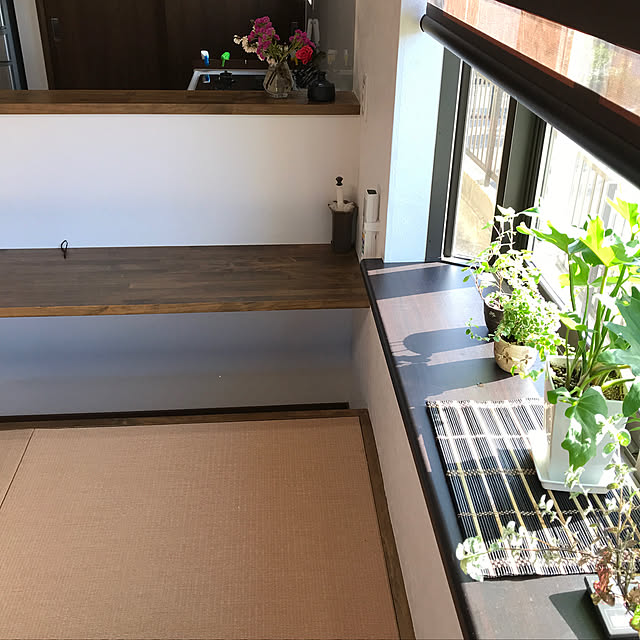 部屋全体/観葉植物/セリアのインテリア実例 - 2018-04-12 07:47:05