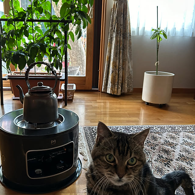 botanさんの部屋