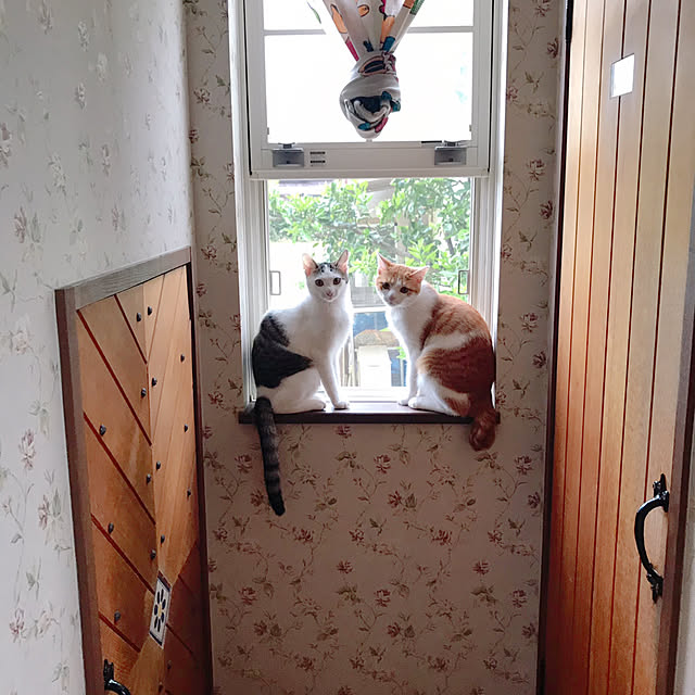 meさんの実例写真