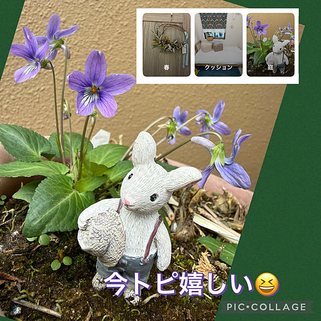 Aqettyさんの部屋