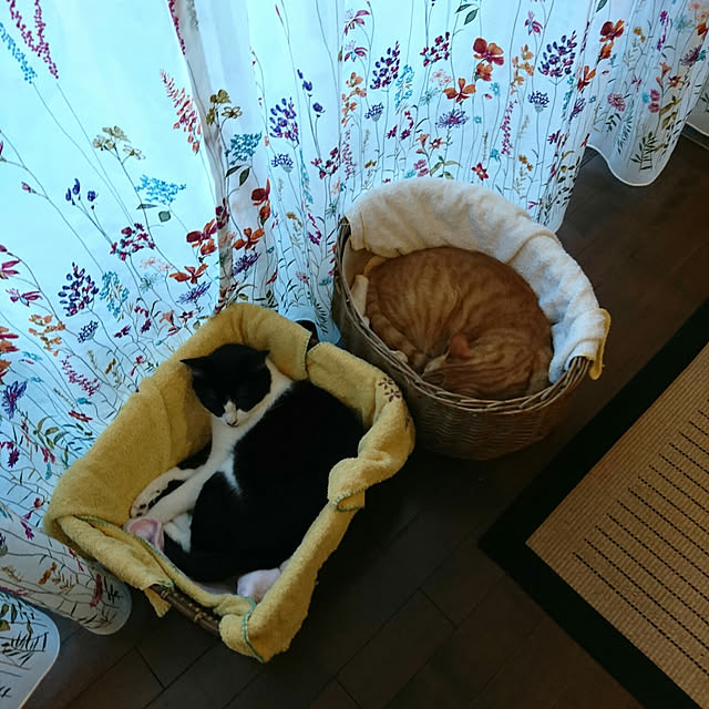 okyosan101さんの実例写真