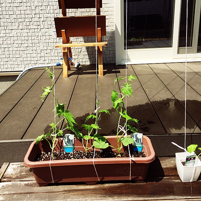 tomatoさんの実例写真