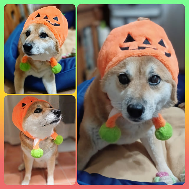 nanaさんの実例写真