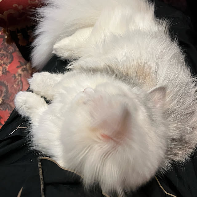 AYUKOさんの実例写真