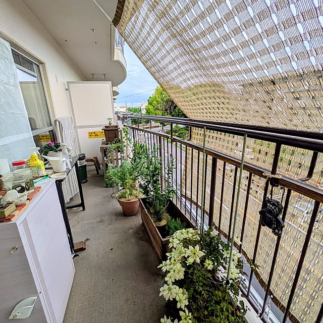 mi-saさんの部屋