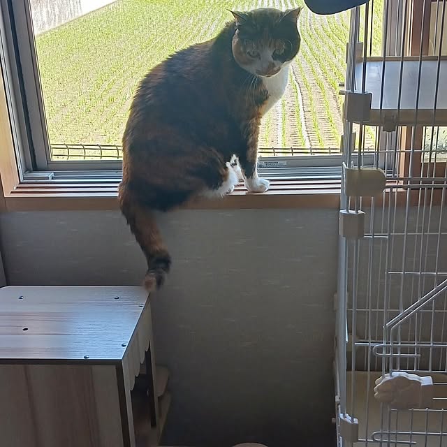 aiさんの部屋