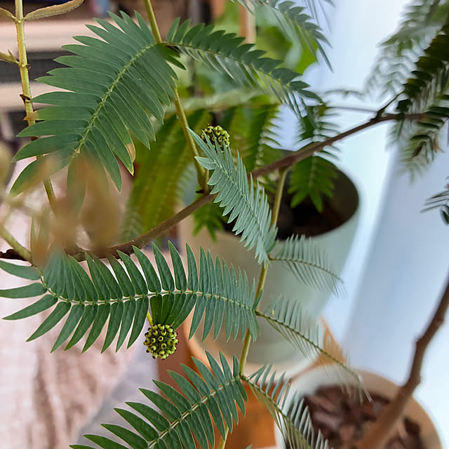 ayayayayaさんの部屋