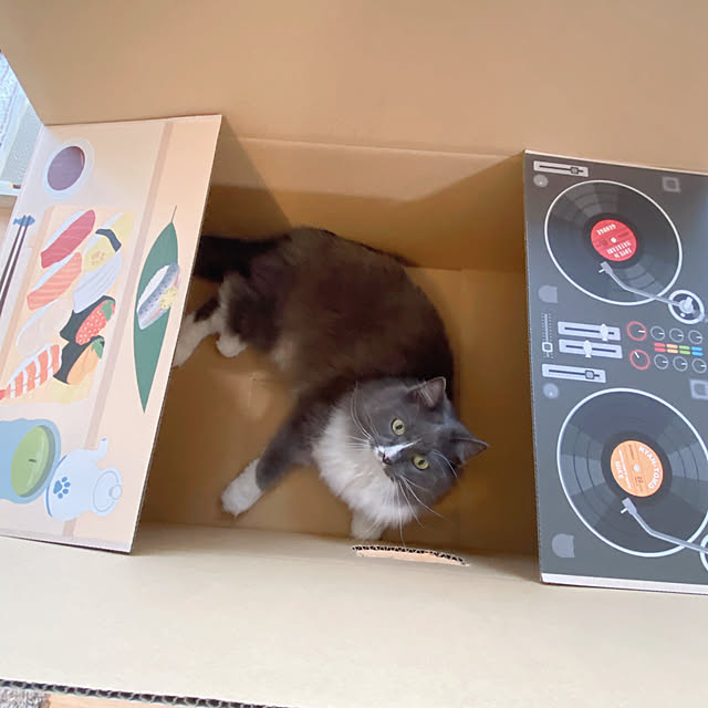 mangomilkさんの部屋