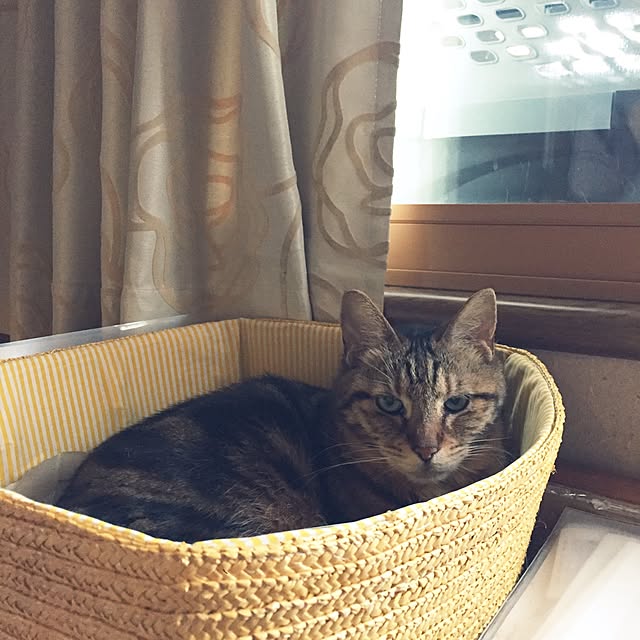 lavie0125さんの実例写真