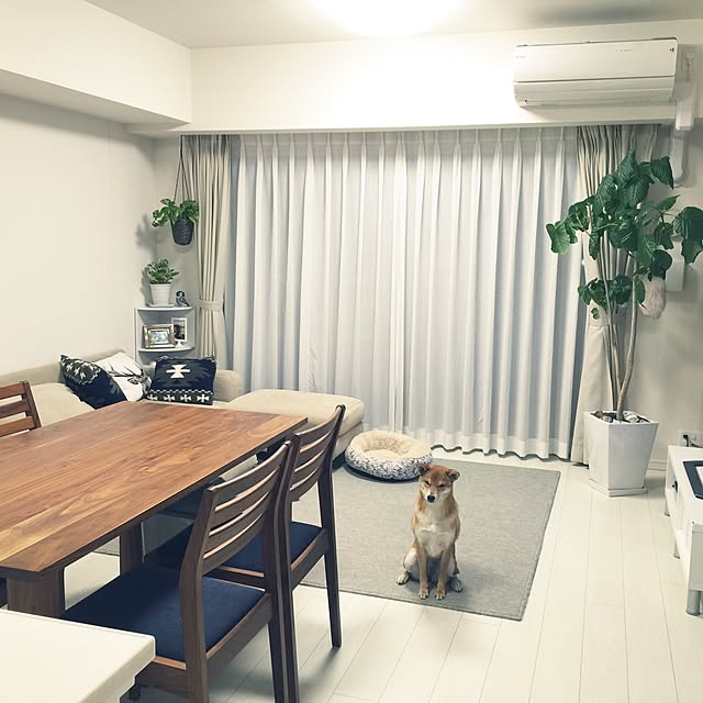 Tomopeさんの実例写真