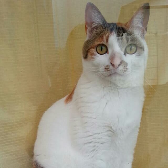 taleo07さんの実例写真