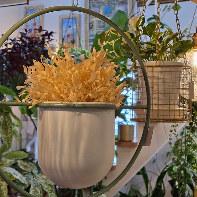 nonbiri_house_さんの実例写真