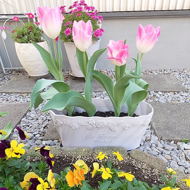 fleur-mamanさんの部屋