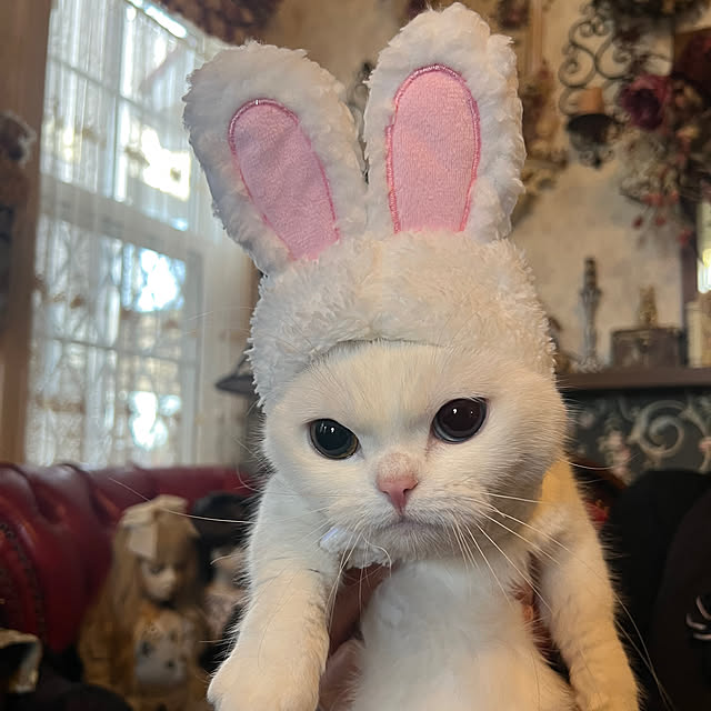 AYUKOさんの部屋