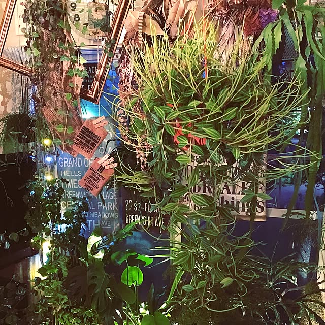 Shujiさんの実例写真