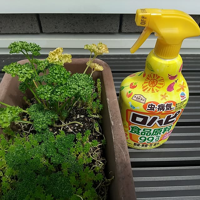 Rさんの部屋