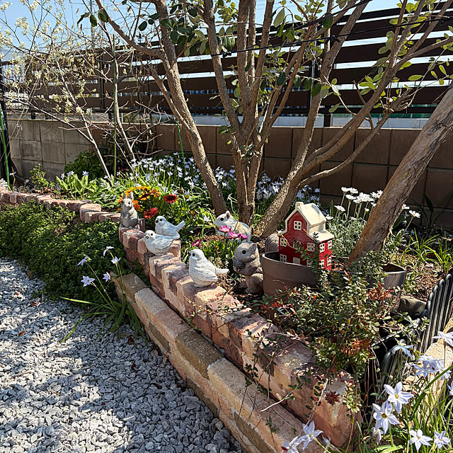 ronronさんの部屋