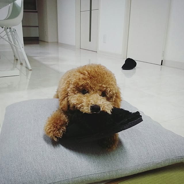 naoさんの実例写真