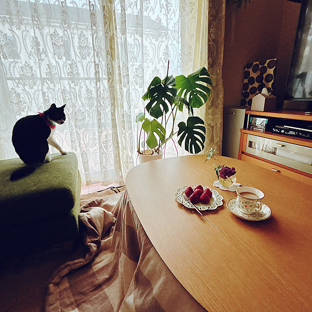 moolさんの実例写真