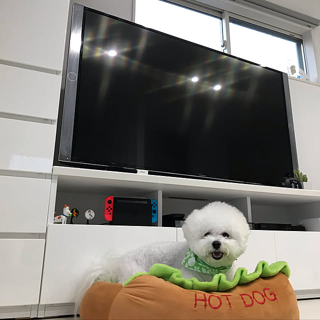 kotomiさんの実例写真