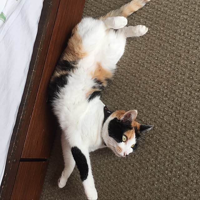 mtkさんの実例写真