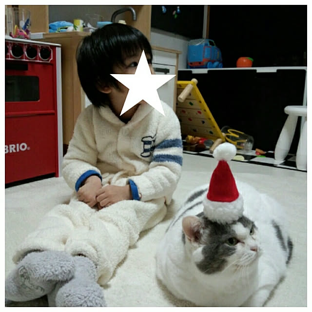 wasurenboさんの実例写真