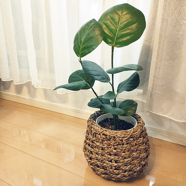 pinponmamさんの実例写真