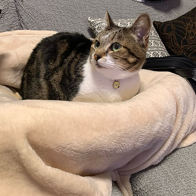 mariさんの実例写真