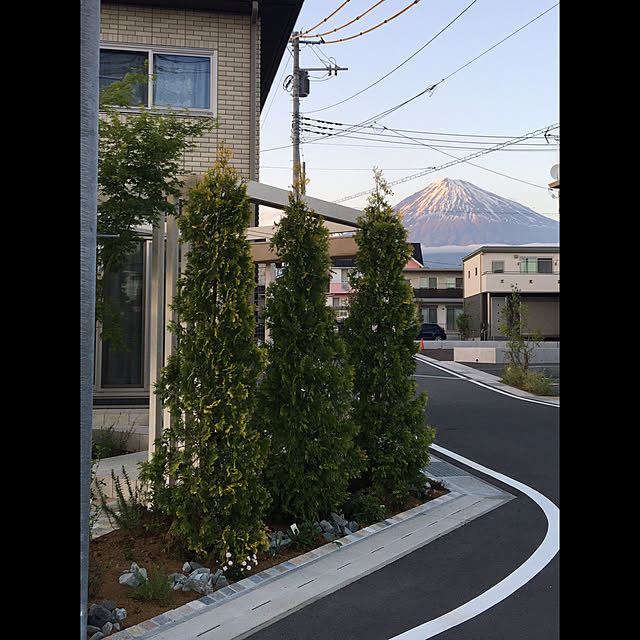 tigerさんの実例写真