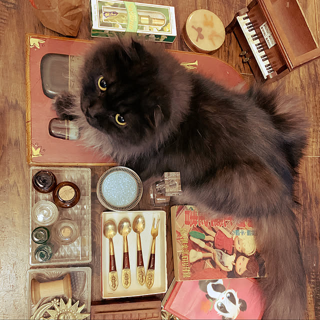 mecchaさんの実例写真