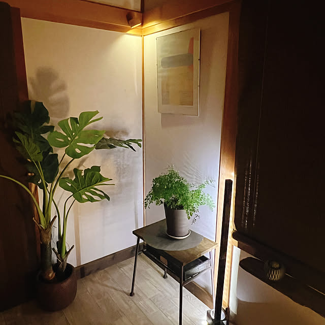 rookuさんの実例写真