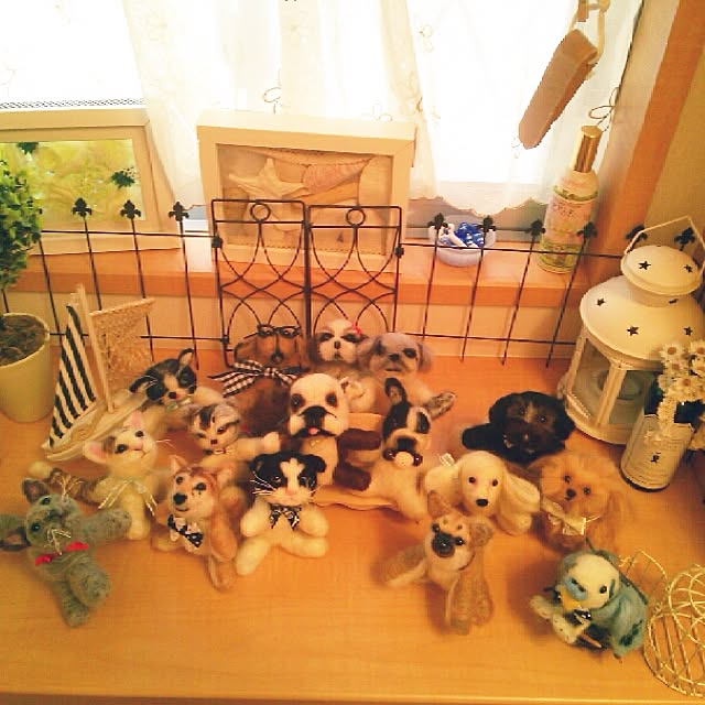kotaさんの実例写真