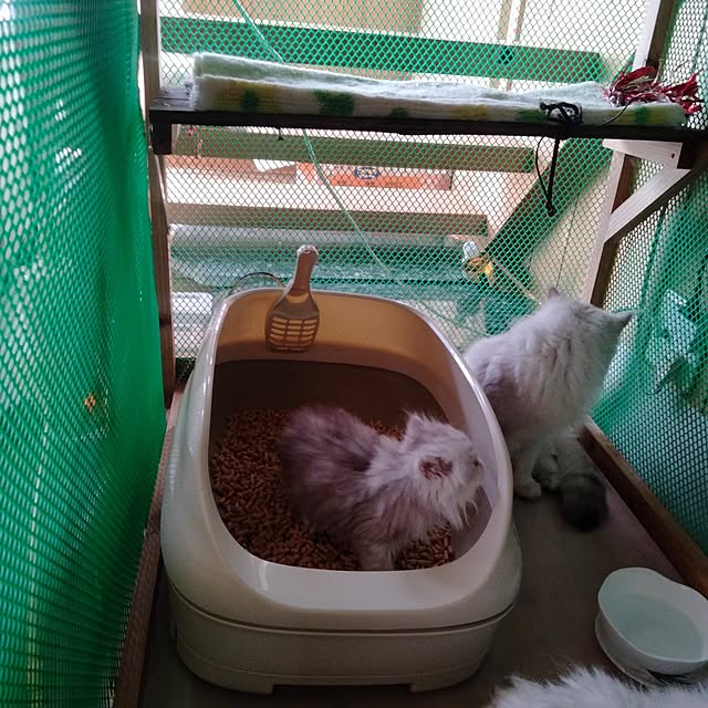 makaronさんの部屋