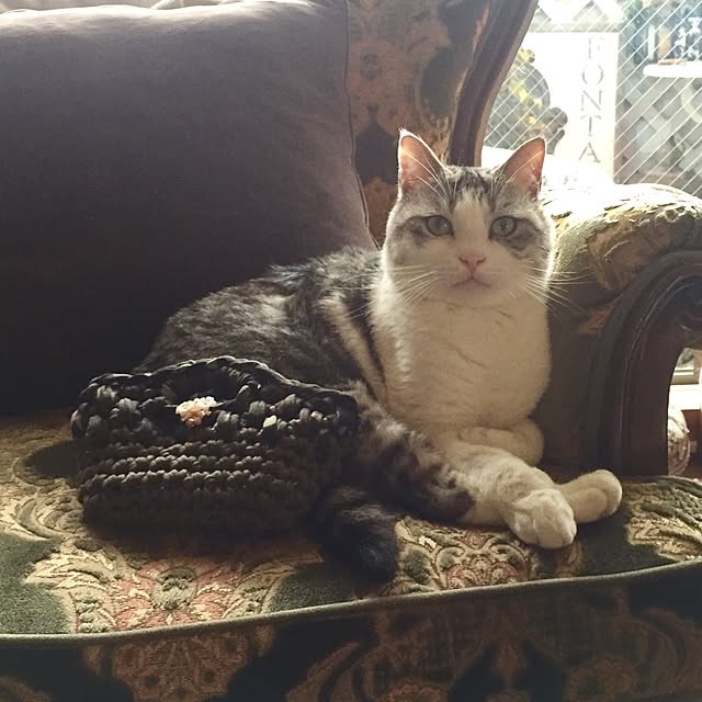 emmyyさんの実例写真
