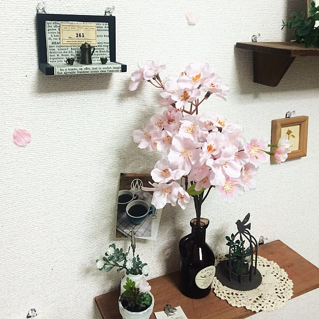 poppoさんの実例写真