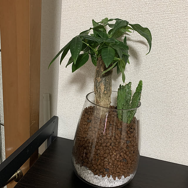 ai...さんの実例写真
