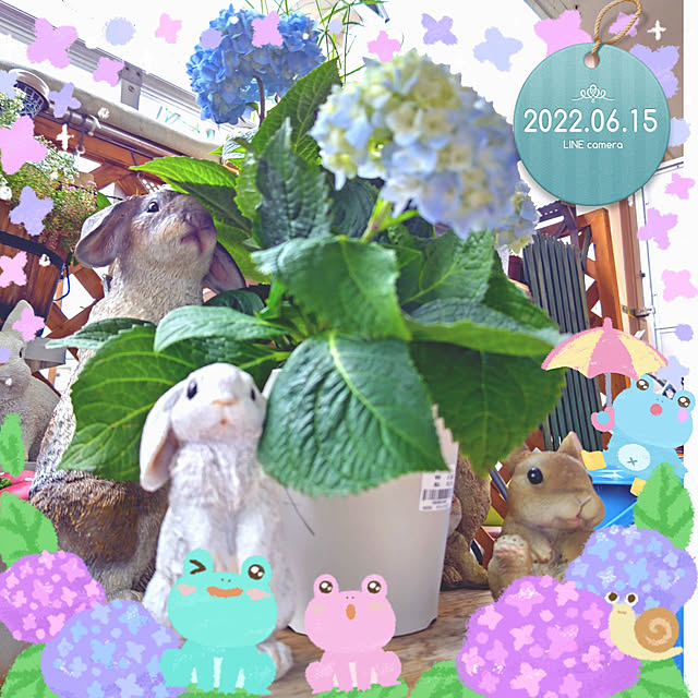 mariaさんの実例写真