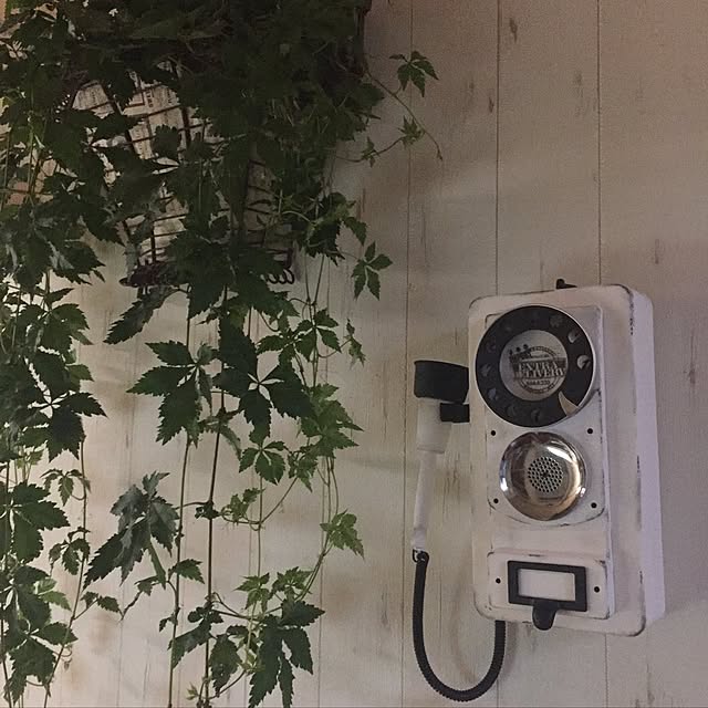 RURULOVEさんの実例写真