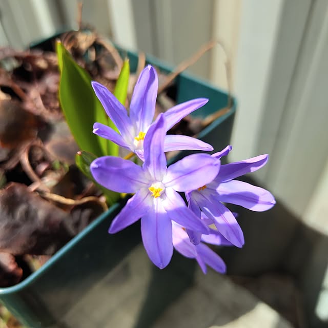 kiraさんの実例写真