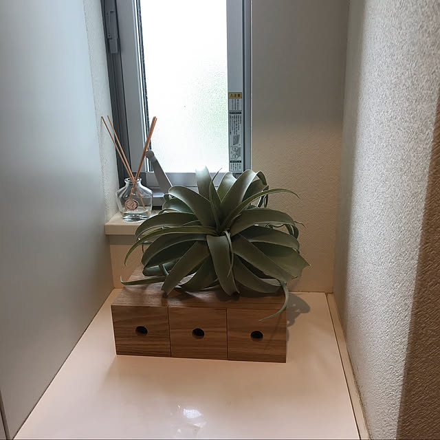 7さんの実例写真
