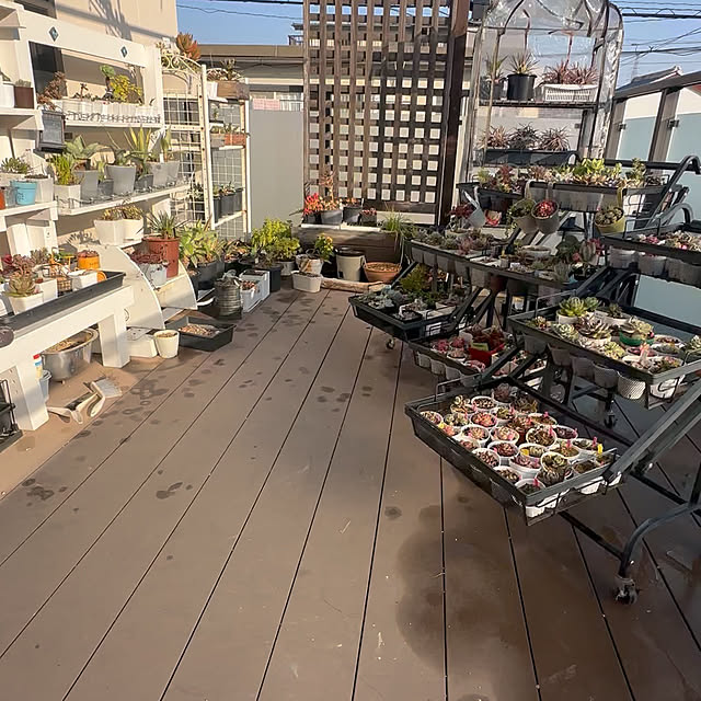 yaiyai38さんの実例写真