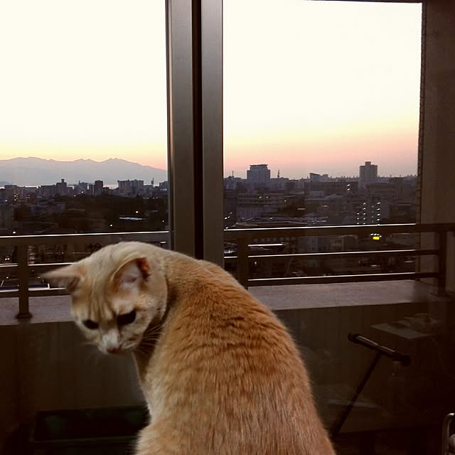 nana.maroさんの実例写真