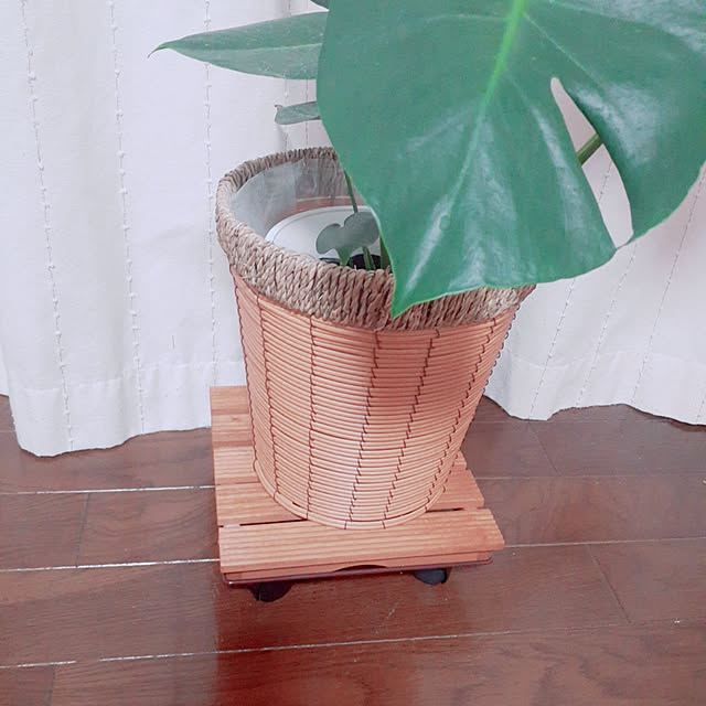Kazuさんの実例写真