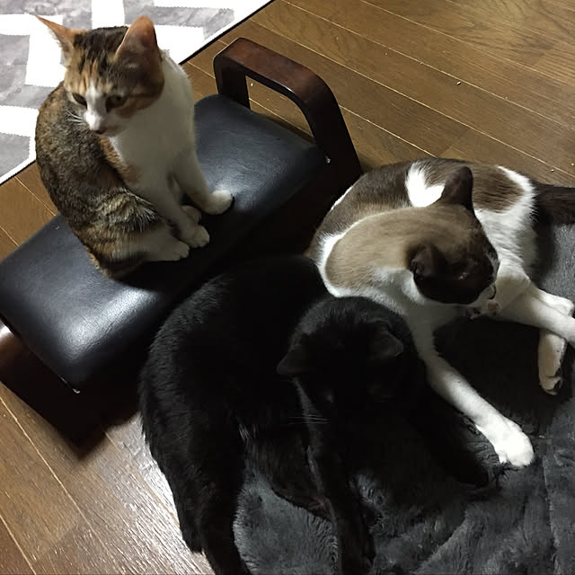 vivienne.coco-keiさんの実例写真