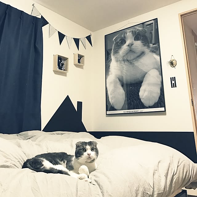 tansukeさんの実例写真